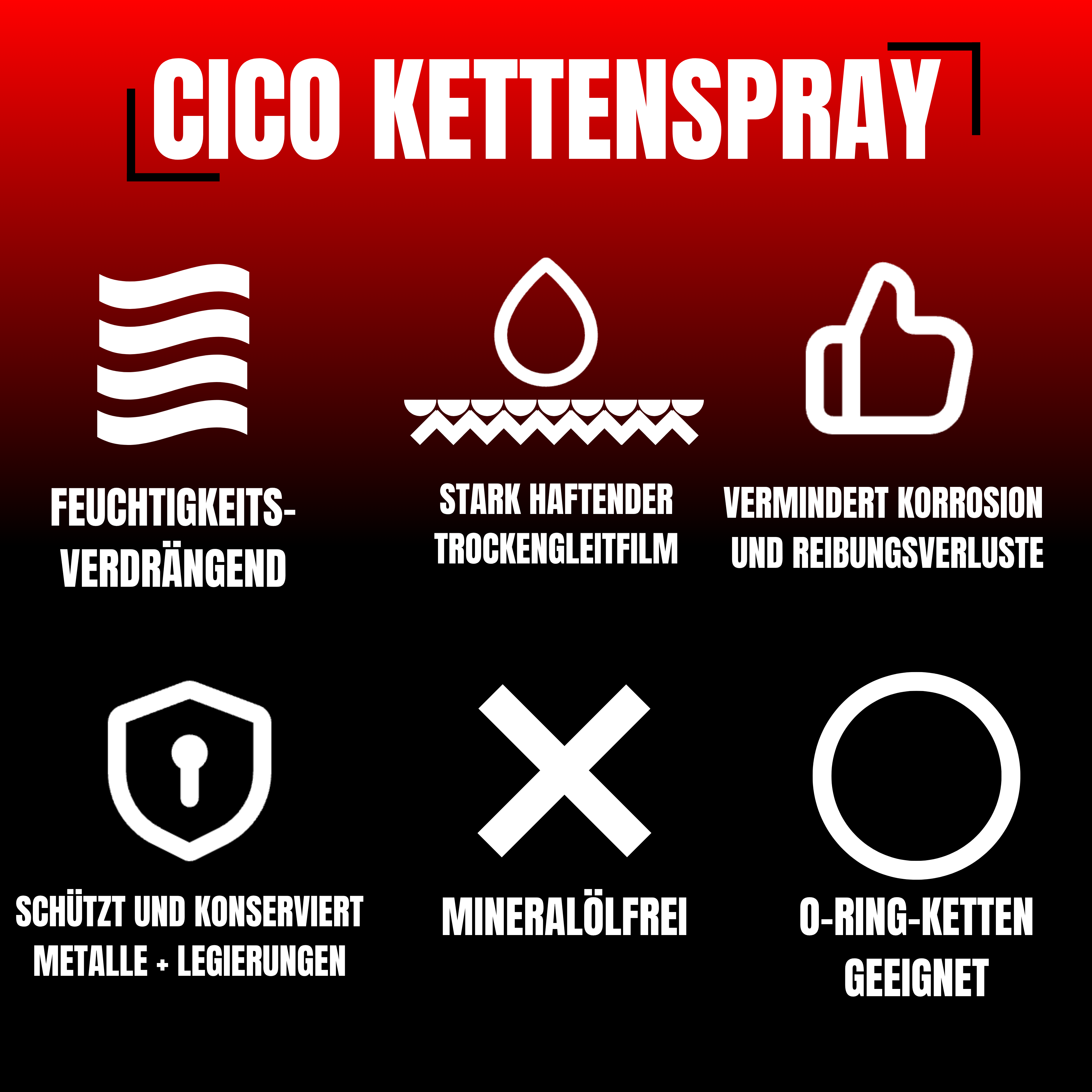 CICO Hochleistungs - Kettenspray