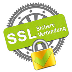 ssl-verbindung-icon